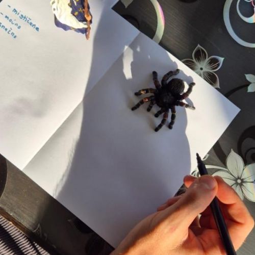 Uspješno proveden dvogodišnji program “Otključaj svoj potencijal - izgradi svoju budućnost” Uspješno proveden dvogodišnji program “Otključaj svoj potencijal - izgradi svoju budućnost”